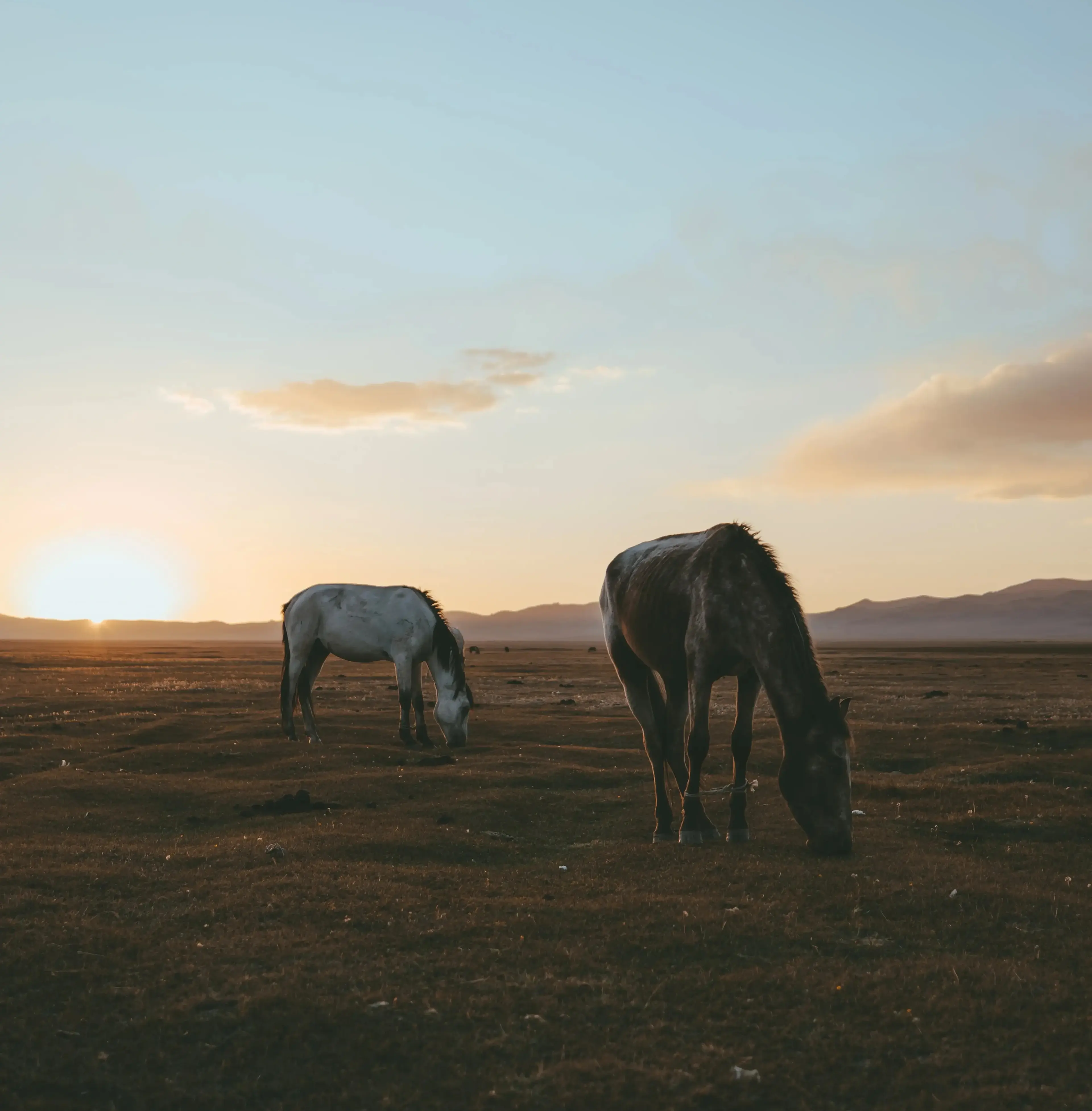 Aventure de 6 jours à Song-Kul, Karakol, Altyn Arashan et au canyon Skazka
