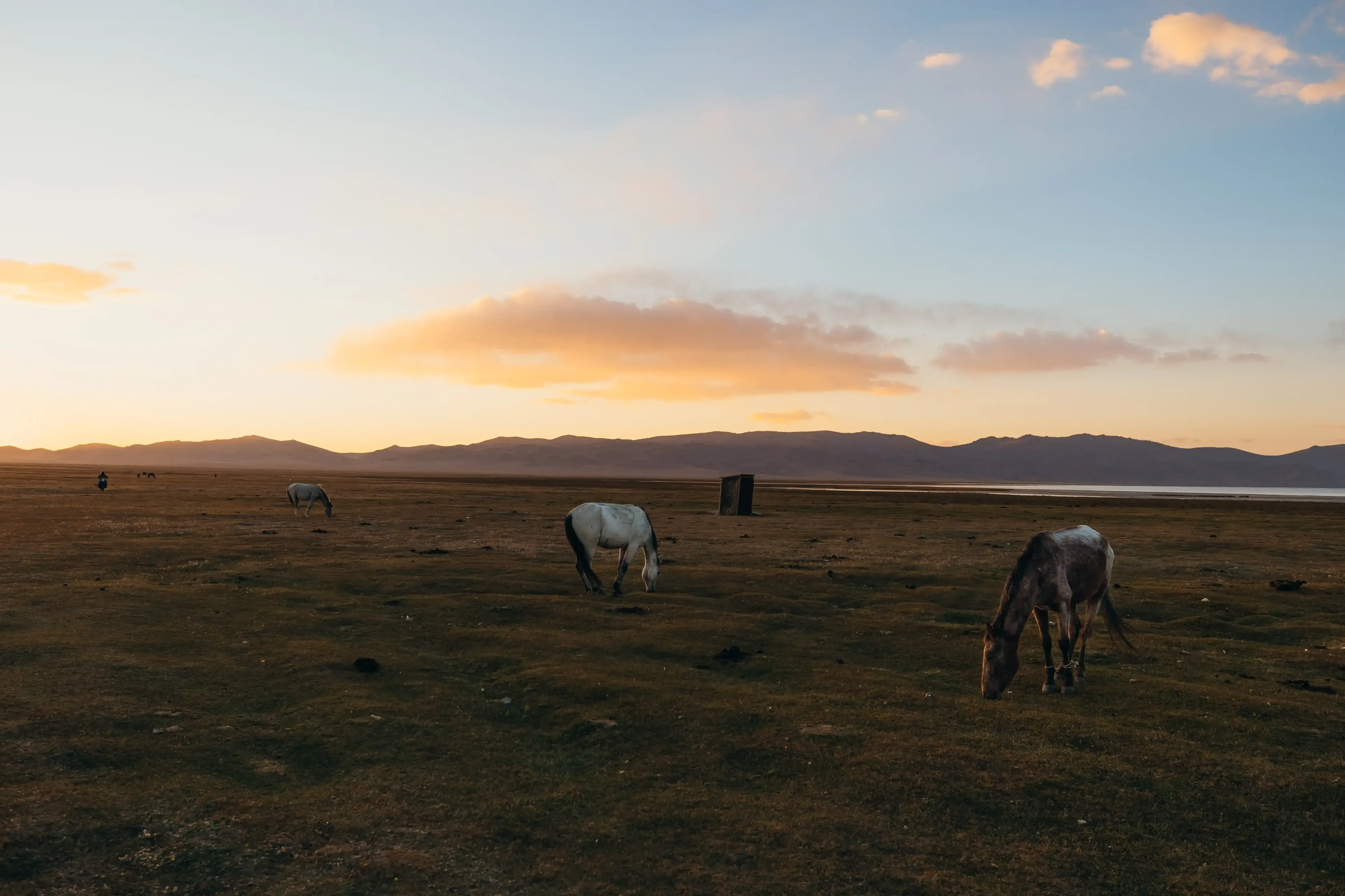 4 giorni a cavallo al lago Song-Kul